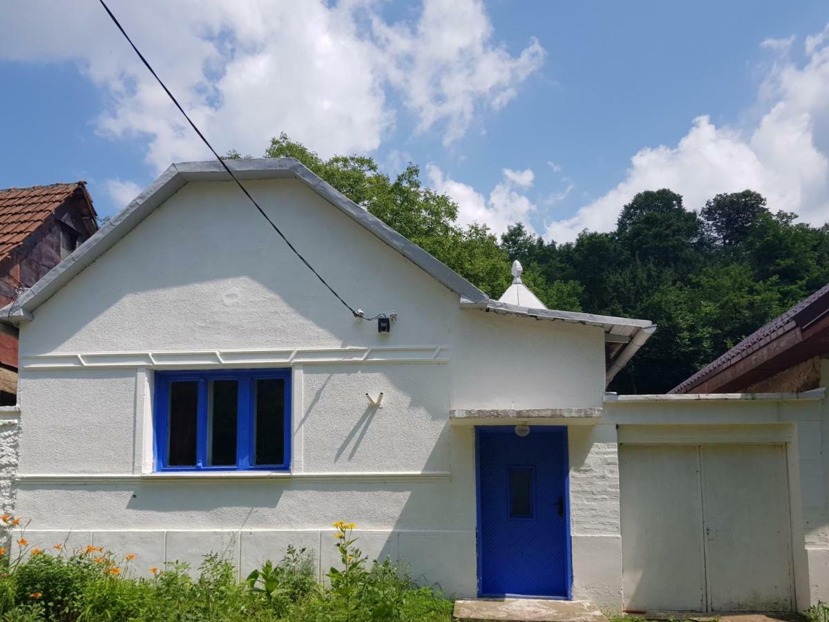 Casa Luna Betiluna Villa Oravita Exteriör bild